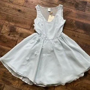 Dresses | Adult Cinderella Dress Chiffon Simple Disney Princess | Poshmark